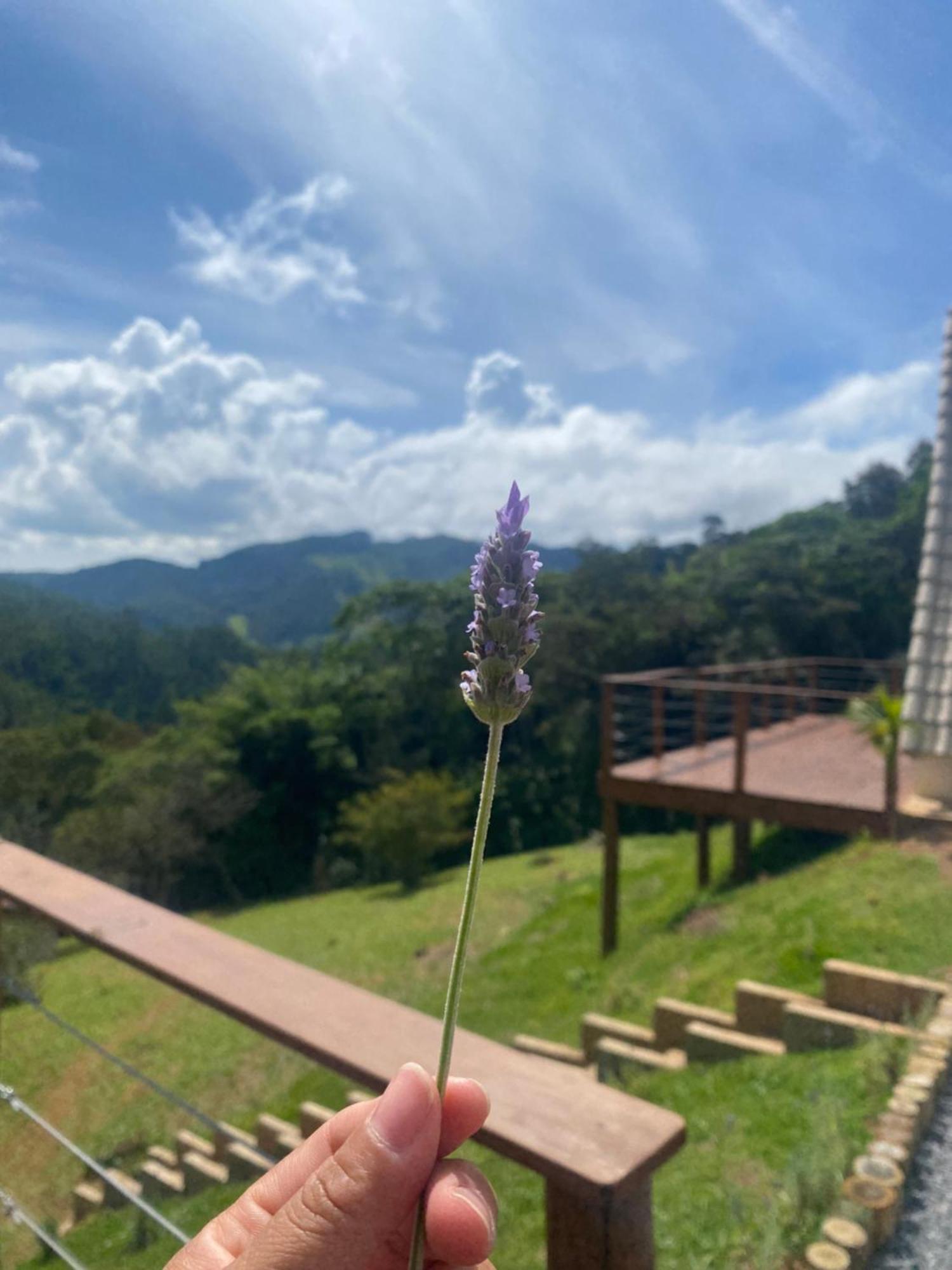 Chales Fazenda Floresta Das Araucarias Cunha Εξωτερικό φωτογραφία
