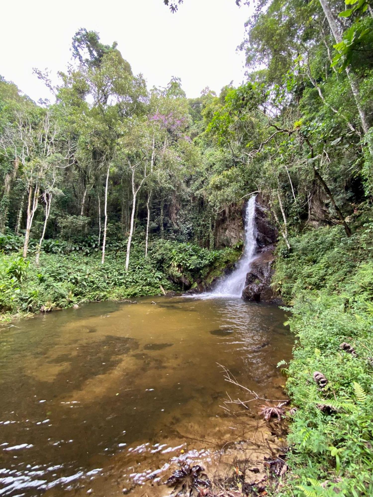 Chales Fazenda Floresta Das Araucarias Cunha Εξωτερικό φωτογραφία