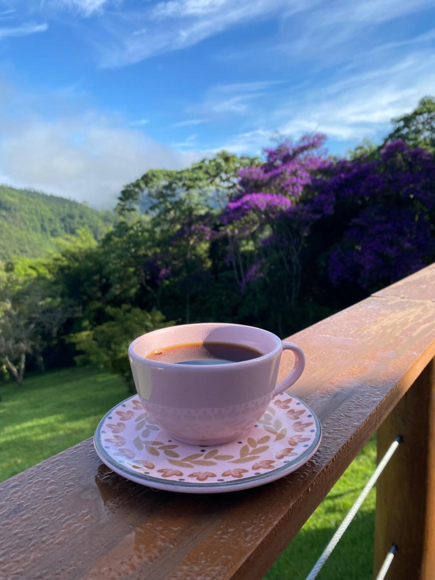 Chales Fazenda Floresta Das Araucarias Cunha Εξωτερικό φωτογραφία