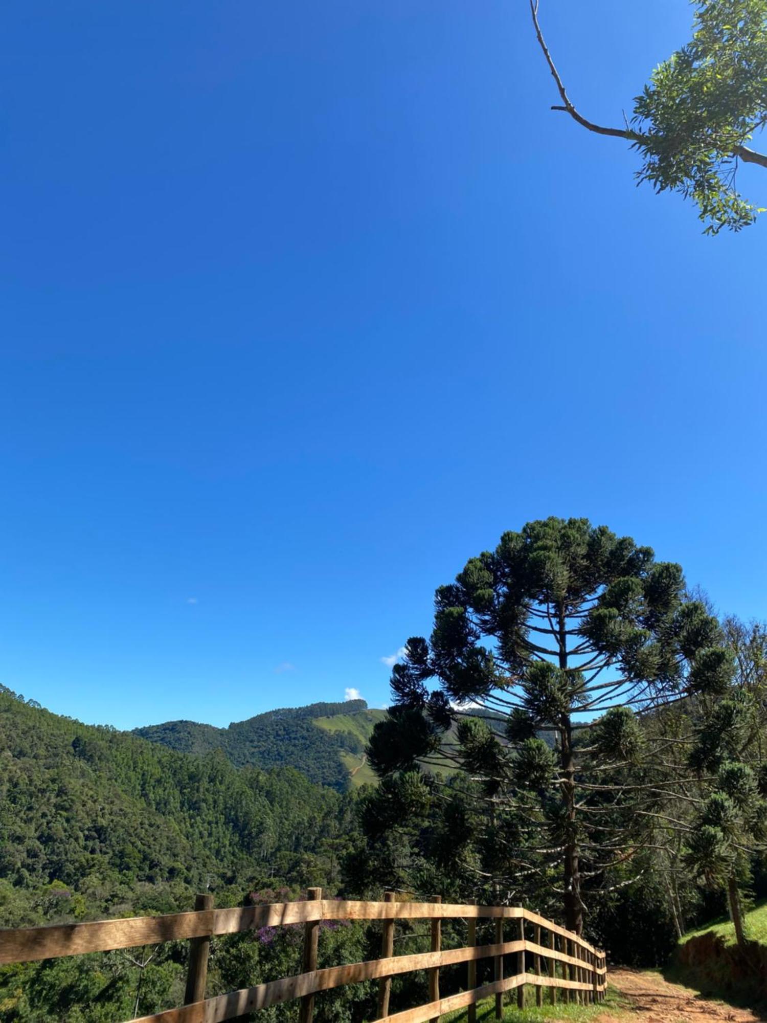 Chales Fazenda Floresta Das Araucarias Cunha Εξωτερικό φωτογραφία