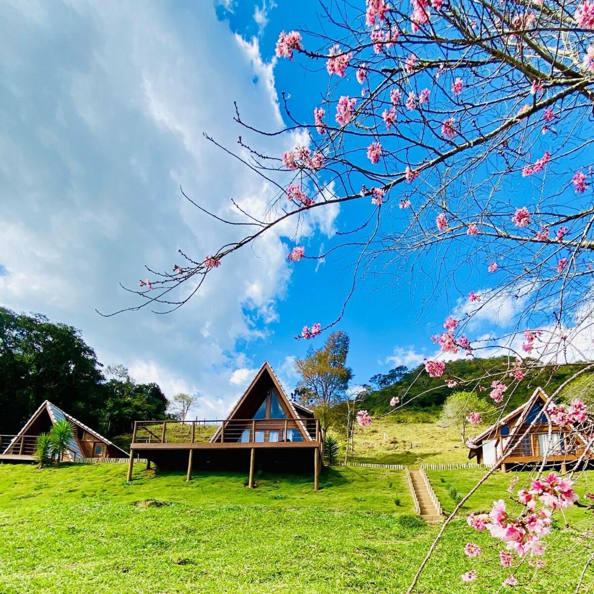 Chales Fazenda Floresta Das Araucarias Cunha Εξωτερικό φωτογραφία